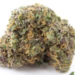 Zoap Cannabis Clones